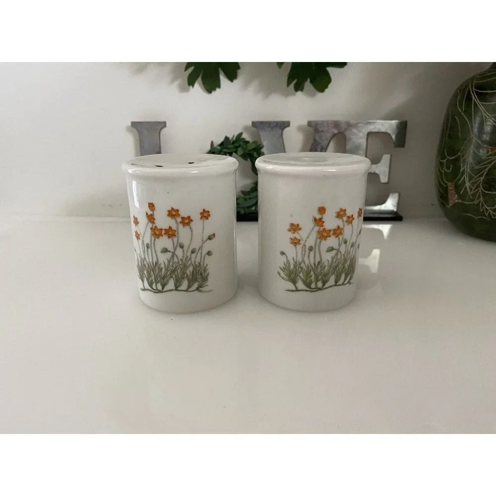Takashi‎ Ceramic Salt and Pepper Shakers Orange Flowers